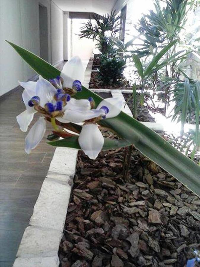Hotel Luz Fronteira Kültér fotó